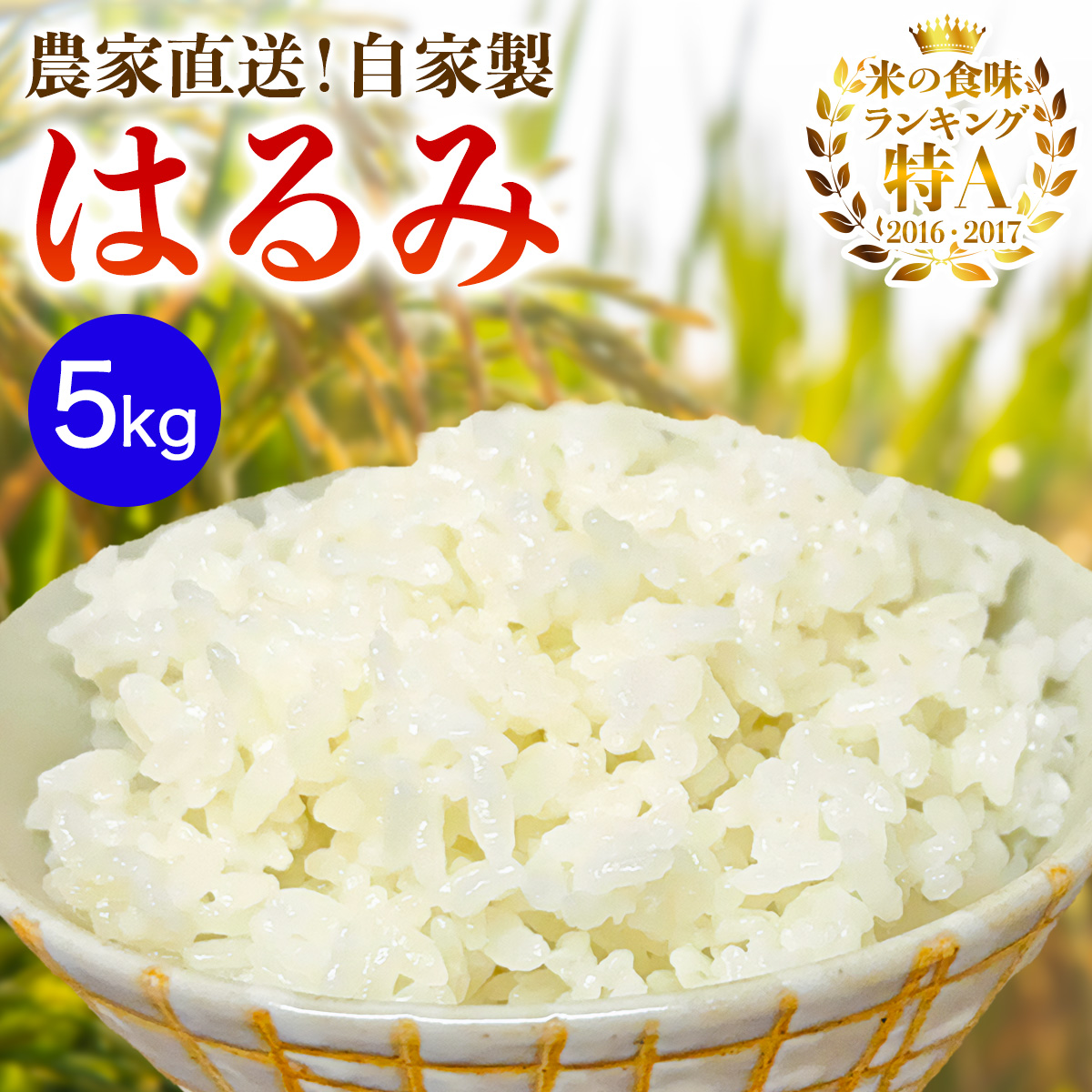 新米 [令和7年産] 伊勢原産 精米5kg はるみ 農家直送！加藤さんちのうんめぇ！自家製米 ｜先行予約 お米 おこめ コメ 白米 神奈川 伊勢原 ブランド米 [0523]
