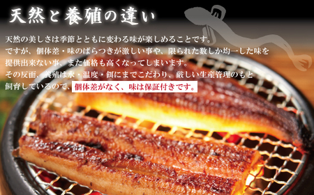 【ギフト用（包装・のし対応）】26-359G．＜四万十食品＞うなぎ蒲焼　ハーフ4袋／ＢＣ