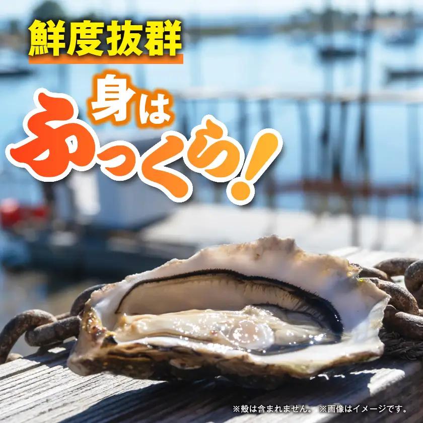 冷凍むき身カキ計1.5kg【配送不可地域：離島】【1743562】