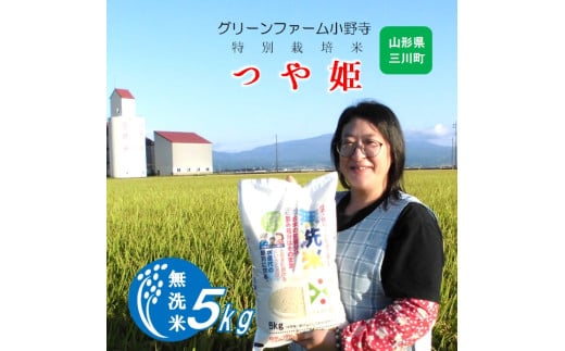 【令和7年産】《無洗米》グリーンファーム小野寺のつや姫5kg　※10月中旬頃から順次配送予定