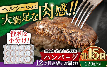 【全12回定期便】【蝦夷鹿×牧草牛×放牧豚】ハンバーグ 15個  鹿肉 牛肉 豚肉 小分け 冷凍 北海道 [AXBP037]