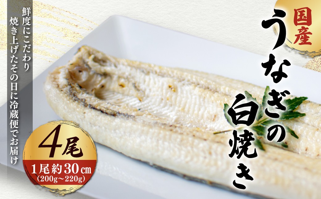 
            「国産うなぎの白焼き」 4尾セット【凍らさず美味しさそのまま！〆たて・焼きたてを冷”蔵”で発送】地元飲食店に愛される、美味さにこだわった「国産うなぎの白焼き」 特上 うなぎ 蒲焼 ウナギ 鰻蒲焼き うなぎ蒲焼き 白焼き 4尾 人気 国産 浜名湖 うなぎ 関西 鰻蒲焼 養殖 冷蔵 ギフト ご褒美 人気 京都　京都府 福知山市 FCF015
          