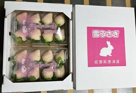 『先行予約』【令和8年2月中旬発送】唐津産 白いちご「雪うさぎ 」苺 イチゴ 希少 果物 フルーツ 脇山農園