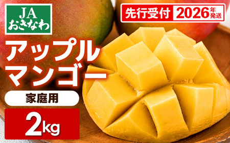 【先行受付】【2026年発送】JAおきなわの産直アップルマンゴー 約2kg【ご家庭用・白箱】- 先行予約 沖縄 産地直送 季節の果物 旬の味覚 ご自宅用 トロピカルフルーツ 沖縄県 八重瀬町