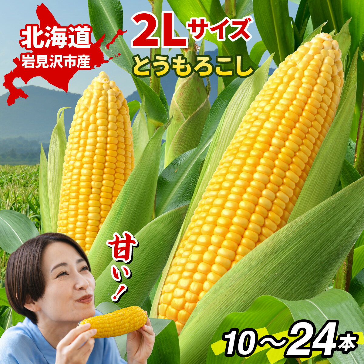 【ふるさと納税】寄附額改定↓【令和7年度出荷先行予約！】＜選べる容量＞北海道岩見沢市産とうもろこし2Lサイズ10本or24本【11111】