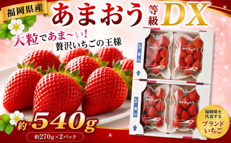 いちご あまおう 2p【2027年2月上旬から3月下旬発送】 いちご 