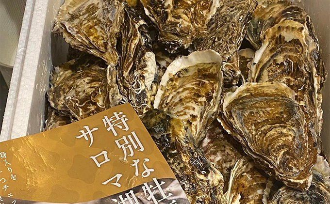 北海道 オホーツク サロマ湖産 殻付き カキ 生食可 5kg 牡蠣職人厳選 牡蠣 国産 貝付き 魚貝類 生牡蠣 ノロウイルス検査実施 海のミルク 海鮮 海の幸 つまみ 晩酌 お酒のあて 