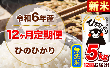 令和6年産新米 【12ヵ月定期便】 無洗米 ひのひかり 定期便 5kg 5kg×1袋《お申込み翌月から出荷開始》 熊本県産 精米 ひの 米 こめ ヒノヒカリ コメ お米