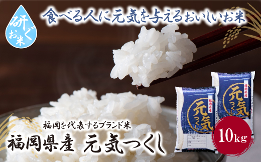 研ぐお米 元気つくし10kg 米 コメ 10kg 箱入り 5kg×2 福岡 10キロ 元気つくし 元気づくし 手軽 リピート 日時指定 ギフト お中元 お歳暮 コスパ 福岡県限定銘柄 人気上昇中 研ぐお米	