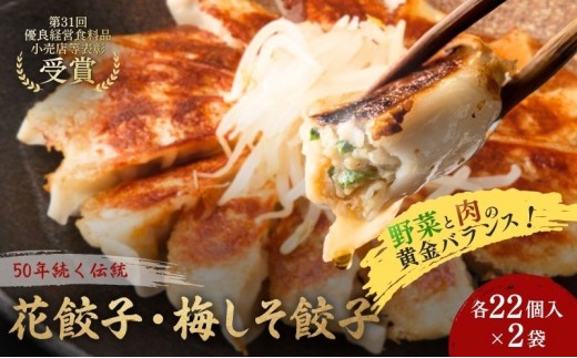 
                  花餃子(22個入×2袋)と梅しそ餃子(22個入×2袋)のセット  惣菜 冷凍餃子 中華 夕飯 夜ごはん おかず 食べ比べ おつまみ ビールのおつまみ 
                