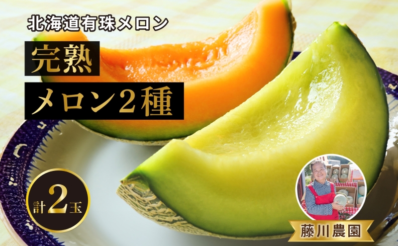 北海道産 有珠メロン 2玉 セット 赤肉 青肉 Lサイズ 1.6kg以上 各1玉 食べ比べ ツル付き 果物 めろん フルーツ くだもの 完熟 旬 ご褒美 ギフト お祝い 産地直送 お取り寄せ 北海道 藤川農園 送料無料 伊達