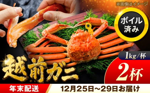越前がに 【先行予約/12月25日より順次発送】【年末希望】 越前がに 1kg×2杯 ズワイガニ ずわいがに ボイル 冷蔵 小浜市 / まるほ商店 【配送不可地域：北海道・沖縄・離島】[BFCS046]