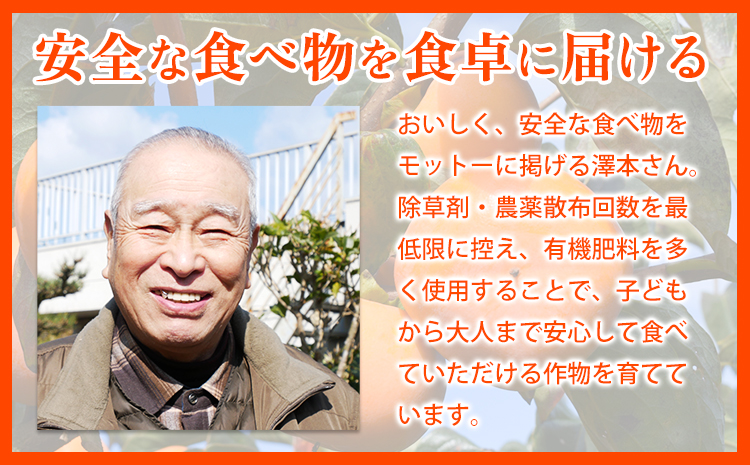 T字枝付つるし柿用生渋柿 4.5〜5kg ふるさと農園《10月下旬-11月下旬頃出荷》