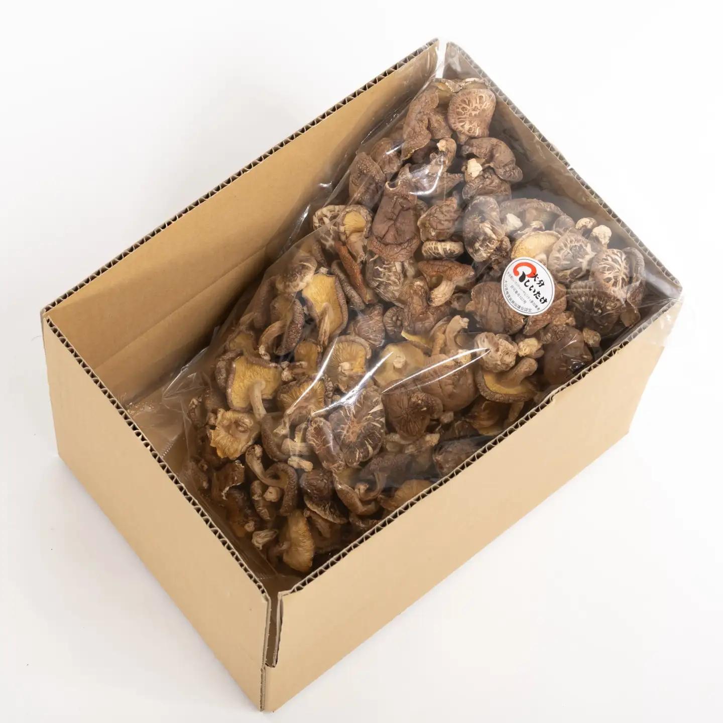 【訳あり椎茸】 山盛り 不揃い椎茸 500g | 津久見市