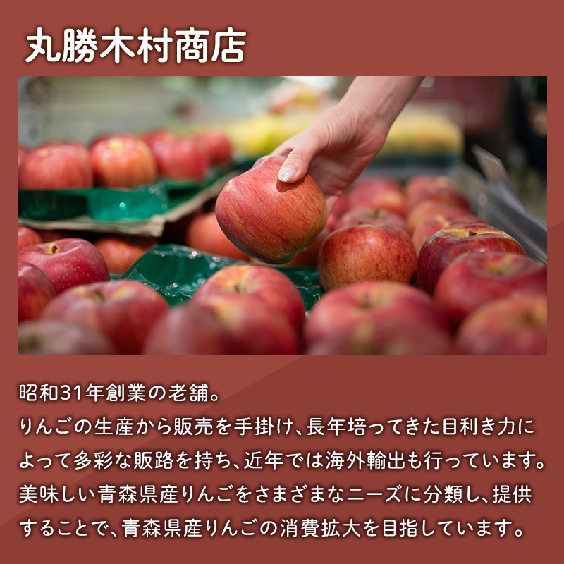 【12月発送】家庭用サンふじ3㎏【丸勝木村商店・青森りんご】
