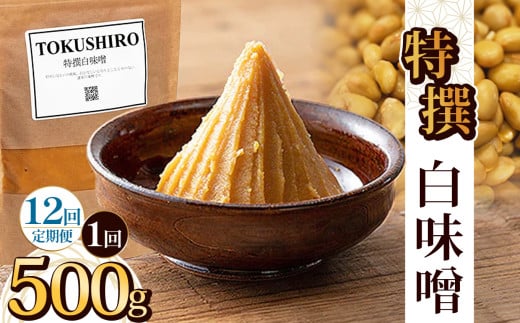 【定期便12回】特撰白味噌 500g | お味噌 味噌 みそ汁 オリジナル味噌  手づくり 手作り 送料無料 栃木県 下野市