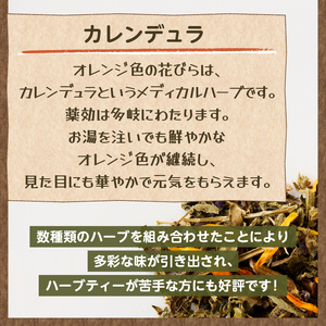 ホーリーバジル　エナジーブレンド（20gｘ3p）