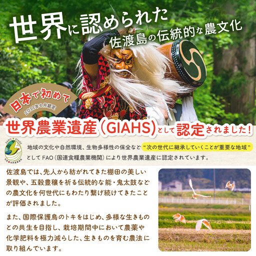 佐渡島産 川上さんのコシヒカリ 白米15kg 令和7年産 特別栽培米 【食の宝島佐渡】