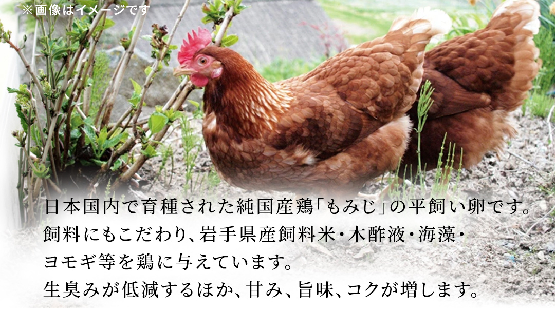 【純国産鶏もみじ】平飼い卵30個入り (破損保証5個含む) (AJ023)