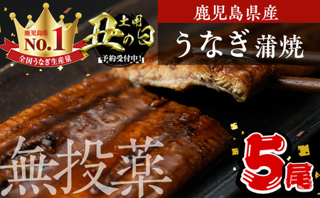 ＜丑の日先行予約受付中！＞鹿児島県産うなぎ蒲焼 (1尾あたり136g～155g×5尾、タレ・山椒付き) 鰻 かばやき 冷凍【西日本養鰻】B175-U