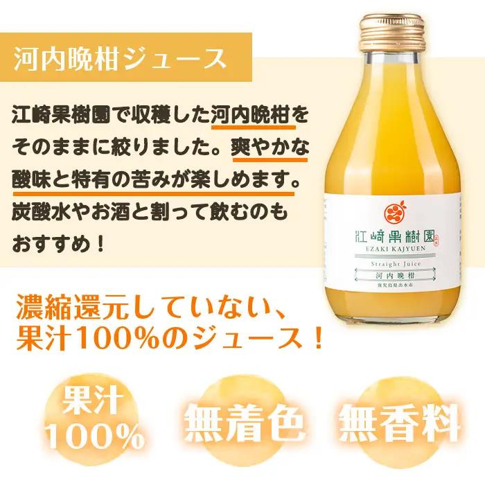 i834 河内晩柑ジュース(180ml×8本)飲料 ジュース みかん 蜜柑 果汁 100% 河内晩柑 無着色 無香料 ストレートジュース 安心安全 ギフト 贈り物 贈答【江崎果樹園】