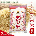 【ふるさと納税】＼選べる容量／＜先行予約＞令和6年産米 漢方環境農法『天栄米』玄米2kg・5kg 金賞受賞 F21T-120var
