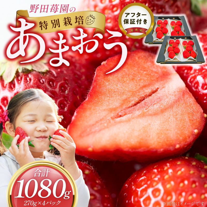 【2027年2月から順次発送】苺（あまおう）270g×2パック×2箱 _ あまおう 270g 2パック 2箱 計 1080g 福岡県産 いちご ストロベリー 特別栽培 認証 アフター保証 安心 安全 
