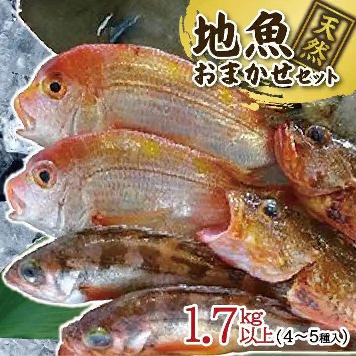地魚おまかせセット 4～5種類入り 計1.7kg以上 冷蔵便 ※着日指定・離島（沖縄県を含む）への発送不可 東北 山形県 遊佐町 庄内地方 鮮魚 詰合せ 産地直送 新鮮 [1620]