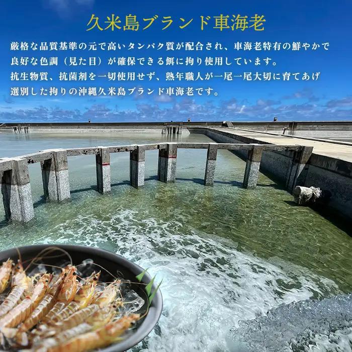 車海老【久米総合開発】活き〆急速冷凍 久米島ブランド車海老 中サイズ 4kg  車えび 海鮮