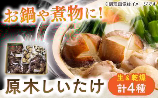 【2025年12月18日までのご入金で、年内発送】原木しいたけ三昧セット 椎茸 国産 年内発送 年内 発送 岐阜 白川町 / 清水しいたけ園 [AWAY001]