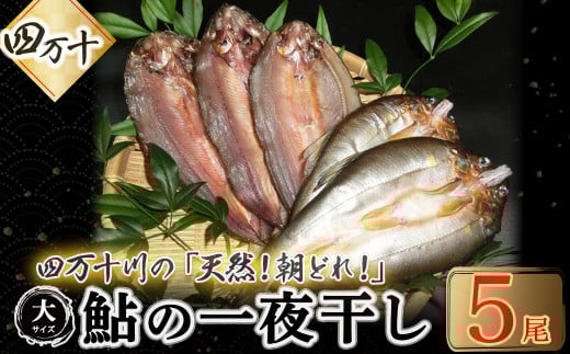 四万十川の天然鮎 大サイズ一夜干し（5枚セット） Esg-26 あゆ アユ 魚 魚介 川魚 塩焼き 干物 ひもの 海鮮
