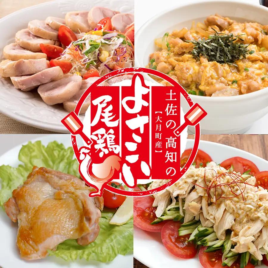 高知県産若鶏 もも切り身2kg ブランド鶏 よさこい尾鶏
