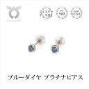 【ふるさと納税】ブルーダイヤ ピアス 0.2ct E281BD-P レディース ファッション ギフト プレゼント 誕生日 記念日 お祝い シンプル おしゃれ かわいい 大人 アクセサリー ジュエリー ジュエリーケース付 ラッピング ブルー 鑑別書付 保証書付