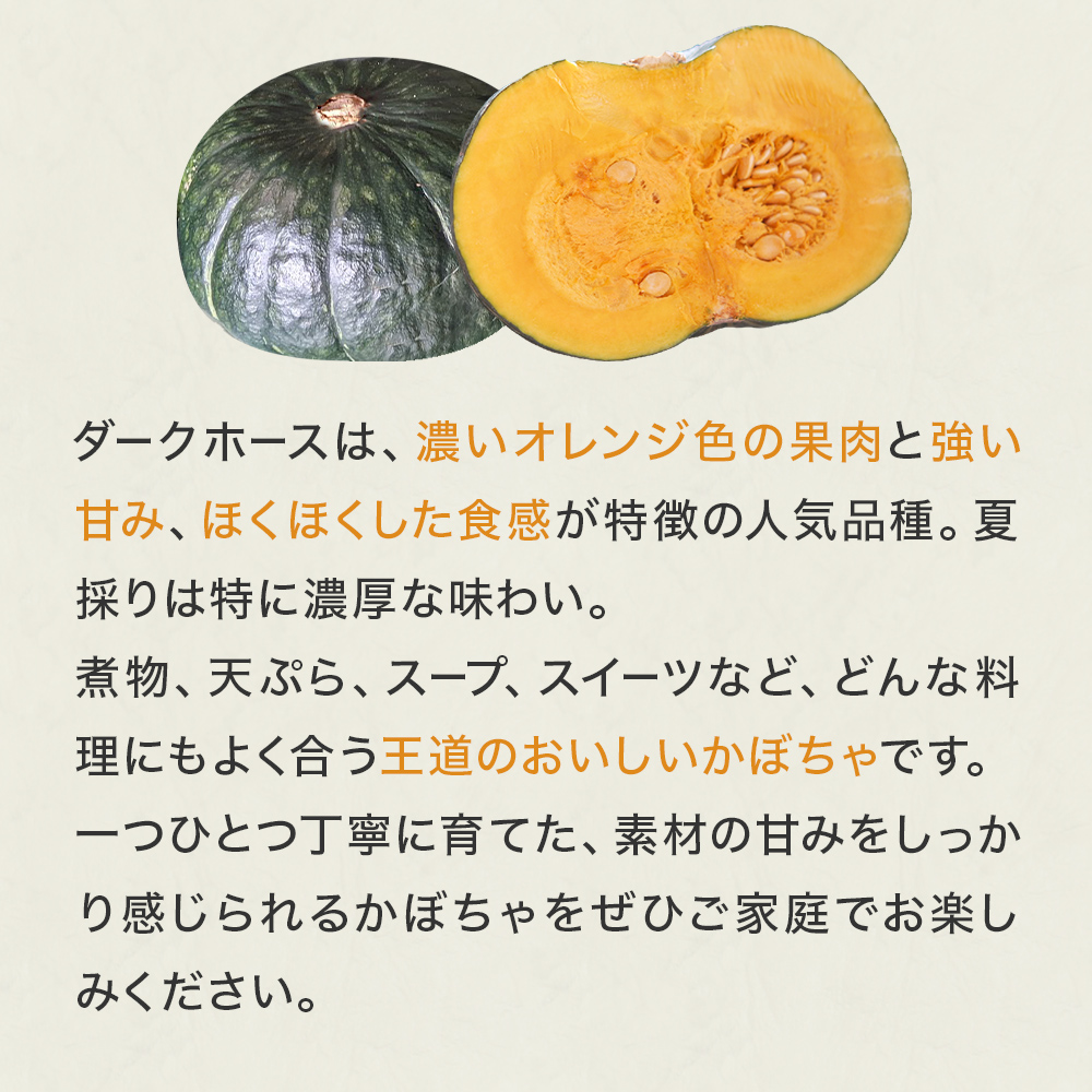 石巻伝承野菜 かぼちゃ ダークホース 5キロ 3～4玉 カボチャ