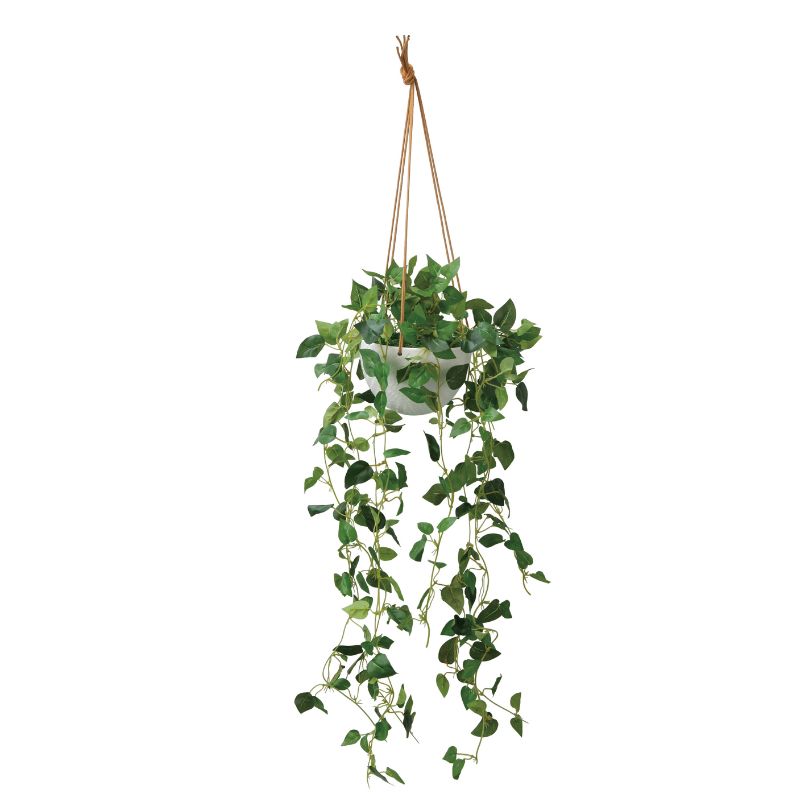 【ふるさと納税】光の楽園 フィロハンギング【配送不可：北海道・沖縄・離島】 インテリア 光触媒 人工植物 造花 フェイクグリーン 花 フラワー 清浄 消臭