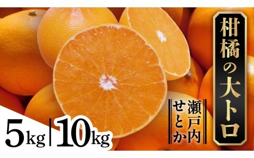
                  せとか 【 選べる内容量 5kg / 10kg 】 柑橘 フルーツ 果物 くだもの みかん 国産 瀬戸内 ハウス 贈答用 ギフト 産地直送
                