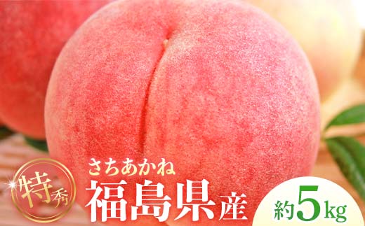 2026年先行予約 糖度12度以上 特秀 福島県産 さちあかね 約5kg 透過式光センサー選別  数量限定 期間限定 桃 もも モモ 果物 くだもの フルーツ F20C-779