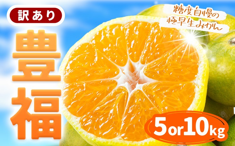 
                  【先行予約】訳あり 極早生みかん 「 豊福 」選べる 5kg 10kg 箱入り 都呂々みかん生産者グループ《2026年10月中旬-11月下旬頃出荷》 フルーツ 果物 くだもの 柑橘 みかん ミカン 蜜柑 熊本県 苓北町【配送不可地域あり】
                