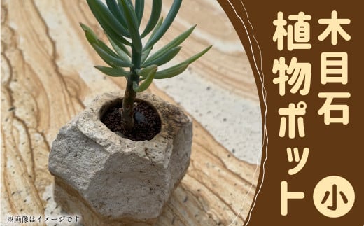 木目石植物ポット（小） インテリア ポット 植物ポット 植木鉢 置物 雑貨 熊本県 上天草市