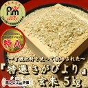 【ふるさと納税】有機肥料を使って栽培した≪特選さがびより≫みやき町産【玄米5kg】（CI777）