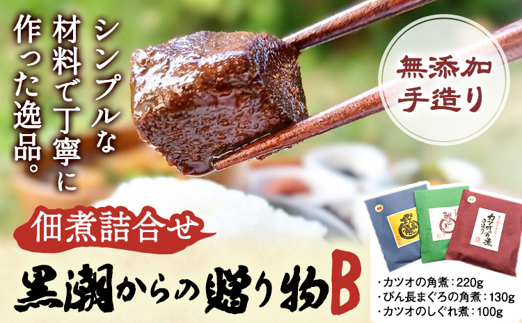 千葉県勝浦市 黒潮からの贈り物B(佃煮詰合せ) 有限会社 佃煮近江《30日以内に出荷予定(土日祝除く)》カツオの角煮 カツオのしぐれ煮 びん長まぐろの角煮【配送不可地域：離島】　2506