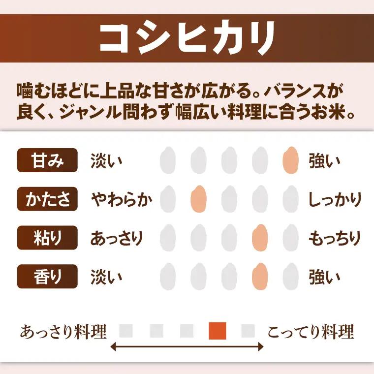 米 コシヒカリ 精米 20kg 令和7年産 茨城県産 お米 こめ コメ ごはん 白米 こしひかり 茨城県産米 単一米 単一原料米 安心 安全 送料無料 国産 人気 数量限定 高評価（85-200）