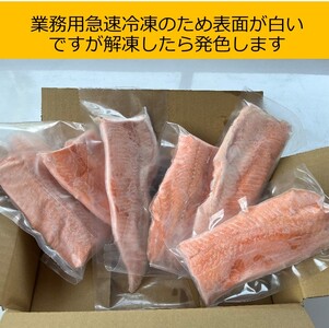 北海道 国産ドナルドサーモン(生食用) 800g  鮭 サーモン 人気サーモン サケ 国産サーモン 冷凍 小分け 鮭 北海道サーモン