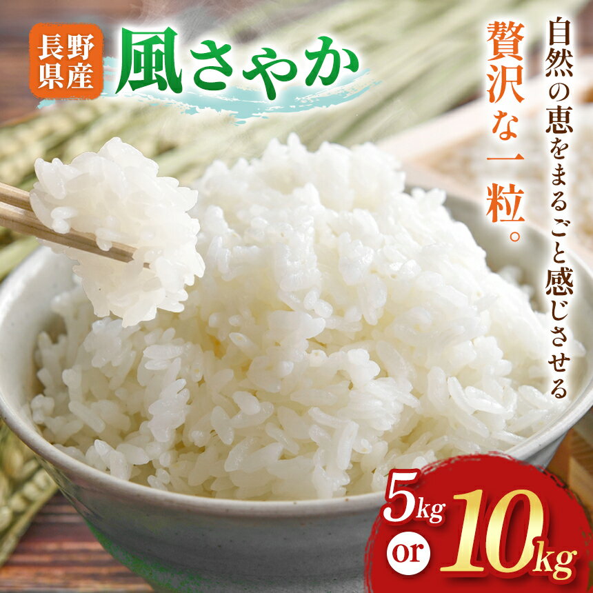 【ふるさと納税】木島平村産 風さやか 5kg、10kg 選べます TANAKA FARM | 米 風さやか 長野のお米 寒暖差 木島平村 長野県 信州