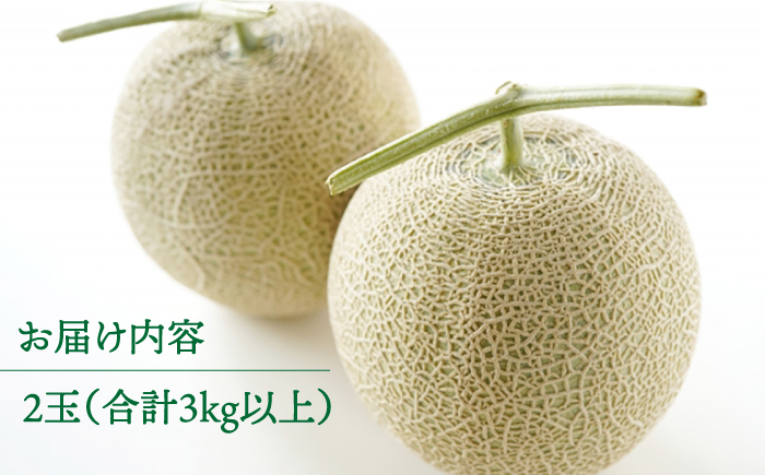 【2026年11月中旬～発送】【数量限定】 アールス メロン 2玉 3kg以上 / 南島原市 / 長崎県農産品流通合同会社 [SCB074]