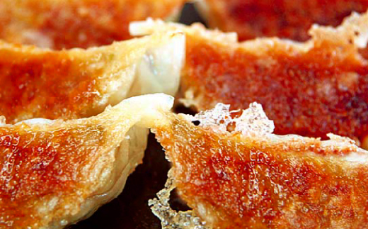 これぞ餃子!!九州産黒豚餃子詰合せ(福津の極み認定商品)＆自家製ラー油[F4383]