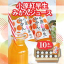 【ふるさと納税】小原紅早生みかんジュース10本セット 11000円