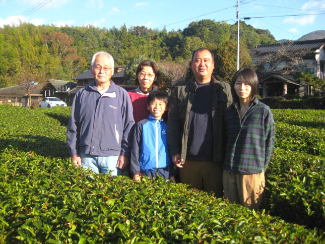 玉緑茶(たまりょくちゃ) 、 粉末緑茶 、 紅茶 ティーバッグ 、 ほうじ茶 ティーバッグ 詰め合わせ