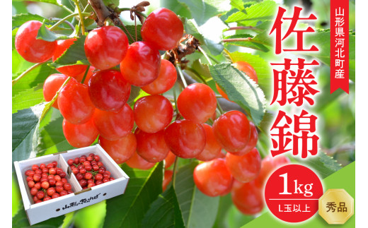 【令和8年産】さくらんぼ 佐藤錦1kg(500g×2パック)  L玉以上 ギフト箱入 秀品 山形県産【山形eLab】 フルーツ 人気 贈答 ふるさと納税 河北町 2026年産 ka074-034