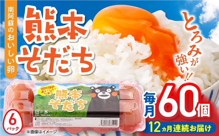 【全12回定期便】熊本県産 熊本そだち 60個入り ( 10個入り × 6パック ) 山都町 たまご 卵【蘇陽農場】 [YBE036]